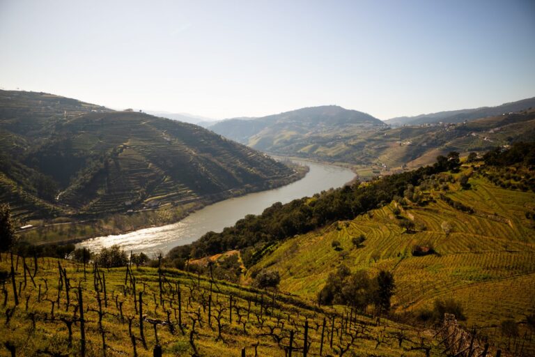 Douro for Design Lovers: Lh Luxury Travel City Guides
